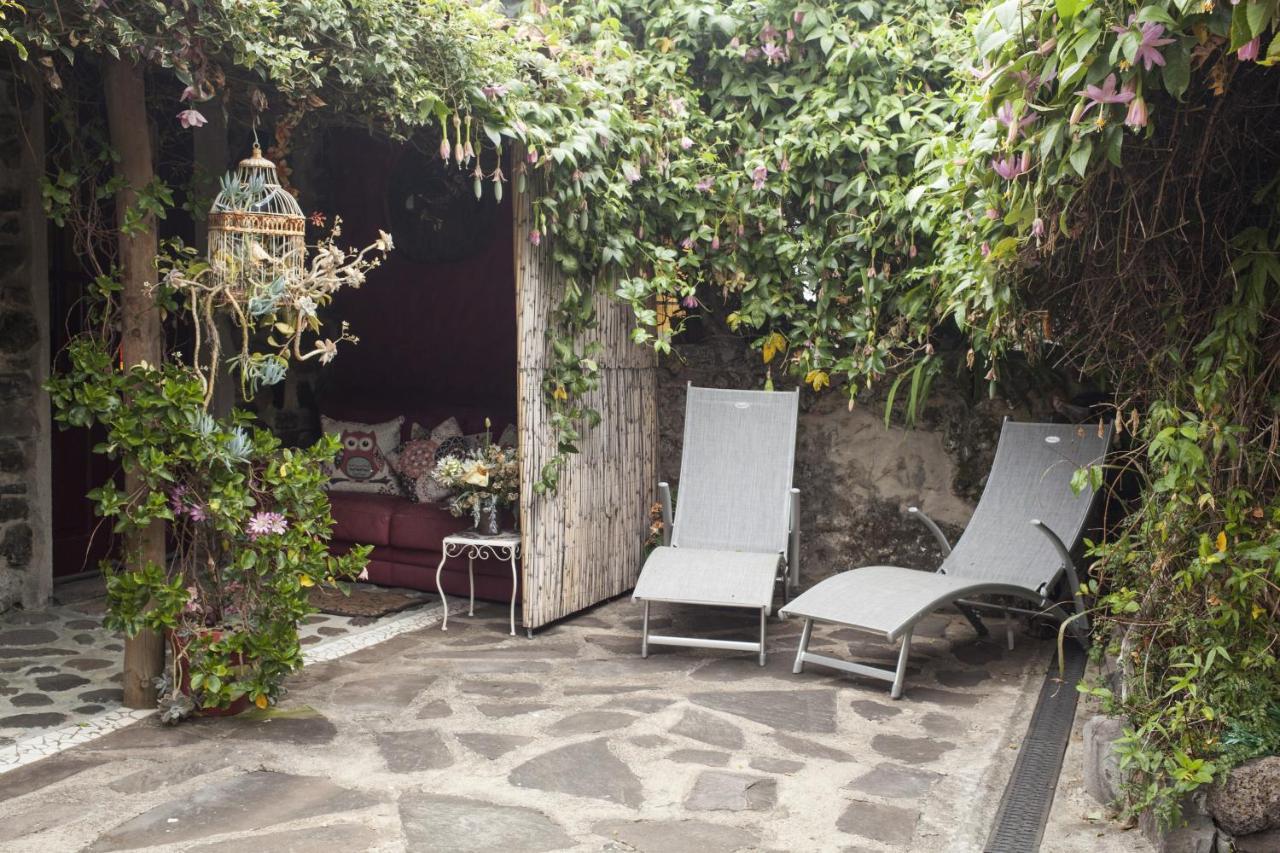 הוילה קלייטה Casas Maravilha By Madeira Sun Travel מראה חיצוני תמונה