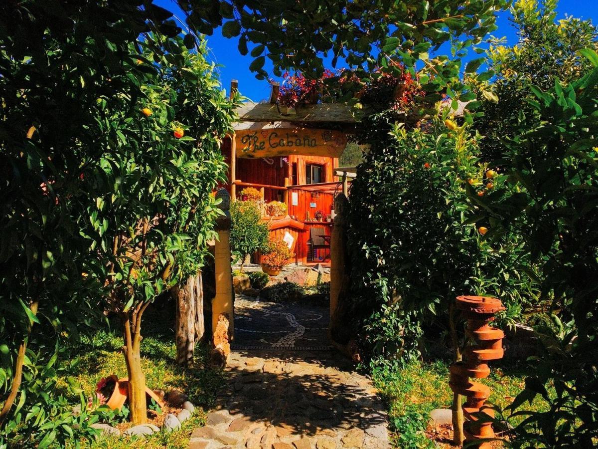 הוילה קלייטה Casas Maravilha By Madeira Sun Travel מראה חיצוני תמונה